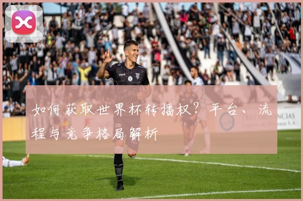 如何获取世界杯转播权?平台、流程与竞争格局解析