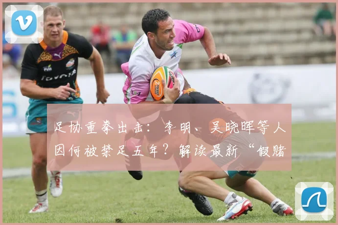 足协重拳出击：李明、吴晓晖等人因何被禁足五年？解读最新“假赌黑”处罚规定